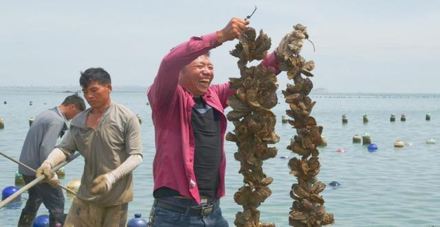 “两岸媒体乡村行”采访采风活动成功举办