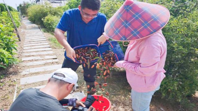 “两岸媒体乡村行”采访采风活动成功举办