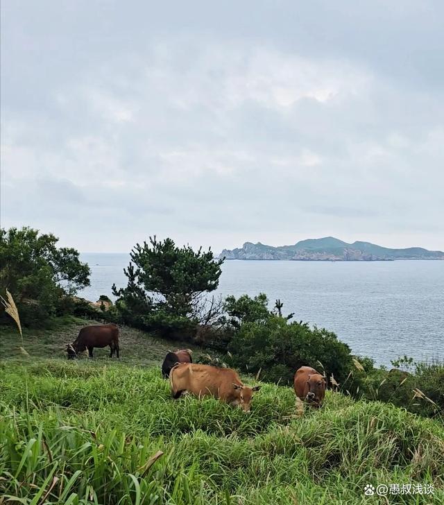 霞浦!你还没打卡的国内超梦幻海岛,去过的都不想回了!