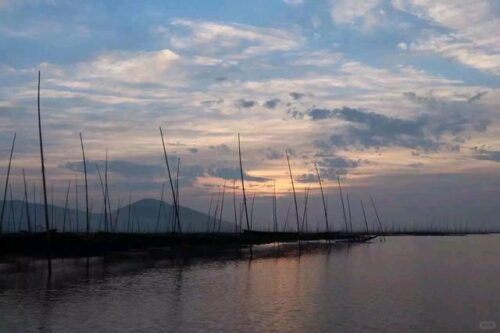 品味霞浦！享受天然霞浦紫菜每一口都是海洋馈赠