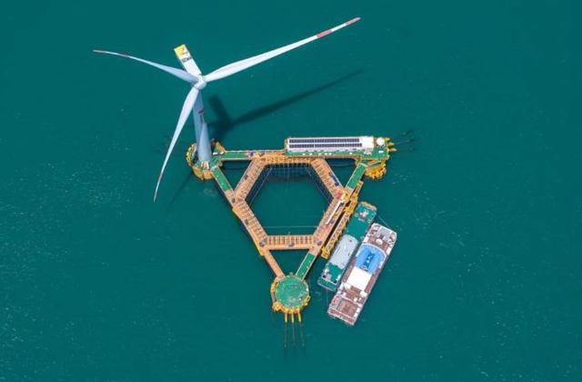 山海浩荡谱新篇——写在建设“活优富美”新福建十周年之际