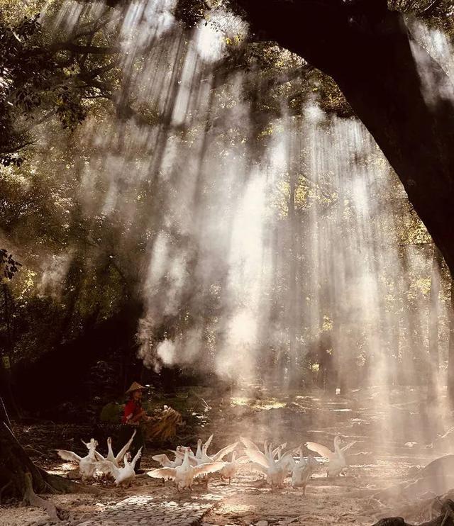 11月的霞浦多彩、梦幻、充满了梦幻般的诗意