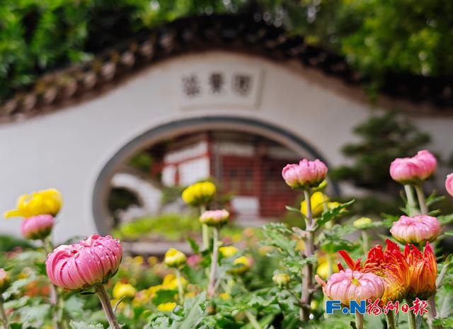太美了!福州这个公园上新啦!坐地铁可达!