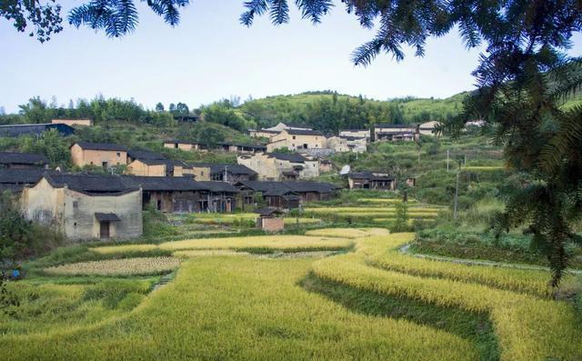 福建宁德7个村入选全国名单!有你的家乡吗?
