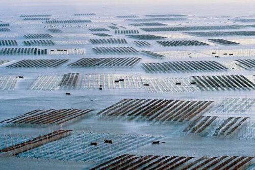 霞浦县三沙镇：念好“山海经”走出“特色路” 让“愿景”变“实景”