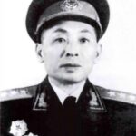 1955年王震给叶飞打通电话：我胆大包天地把他的县长职务，撤掉了