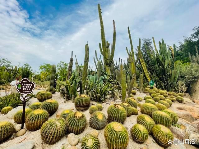 福建18个神仙级景点,每一个都非常值得一去,你去过几个?