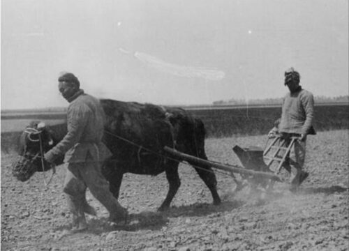 建国前夕，华野名将阮英平被三地痞谋财害命，粟裕：血债血偿！