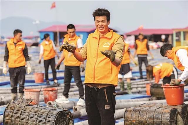 霞浦”中国南方海参之乡”,下浒海参,如何在日常生活中正确选择和食用海参?