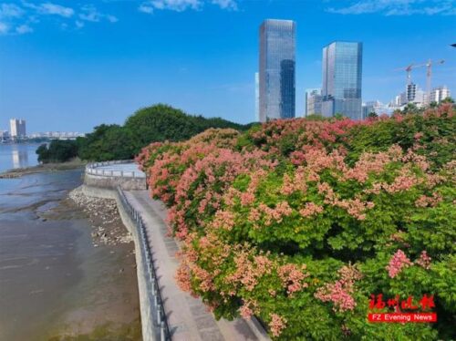 太美了！好多福州人来打卡！