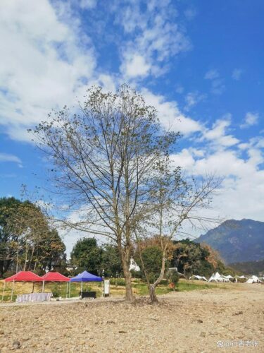 福建宁德有座千年古镇，山环水绕有诗有画，闽东四大古镇之一