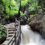 武夷山九曲溪探幽，天游峰登高望，5日游攻略，浙梅多味花生伴