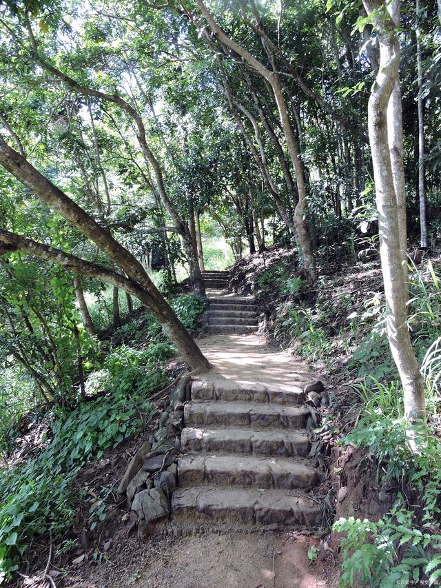 清源山探秘,古迹寻幽行,蜜枣零食享,5日游攻略