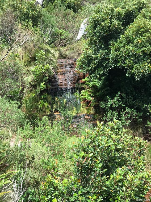 龙岩武平梁野山五日游:探秘自然奇观,回味童年零食美味