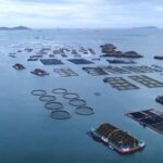 “蓝色粮仓”供给能力持续加强 “大食物”托起百姓舌尖上的“小幸福”