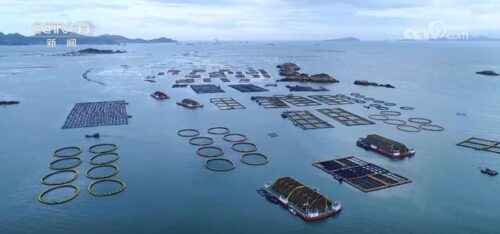 “蓝色粮仓”供给能力持续加强 “大食物”托起百姓舌尖上的“小幸福”