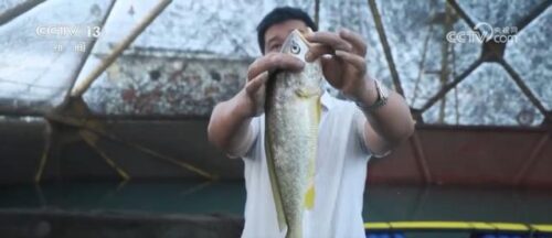 “蓝色粮仓”供给能力持续加强 “大食物”托起百姓舌尖上的“小幸福”