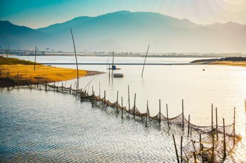 漫步福州长乐闽江河口湿地，五日尽享自然生态，回味儿时辣条美