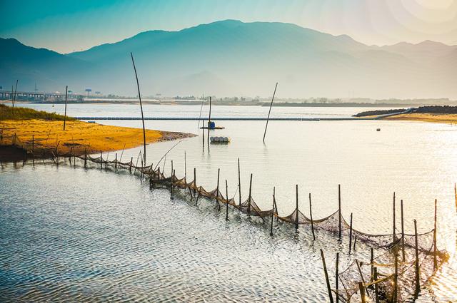 漫步福州长乐闽江河口湿地,五日尽享自然生态,回味儿时辣条美