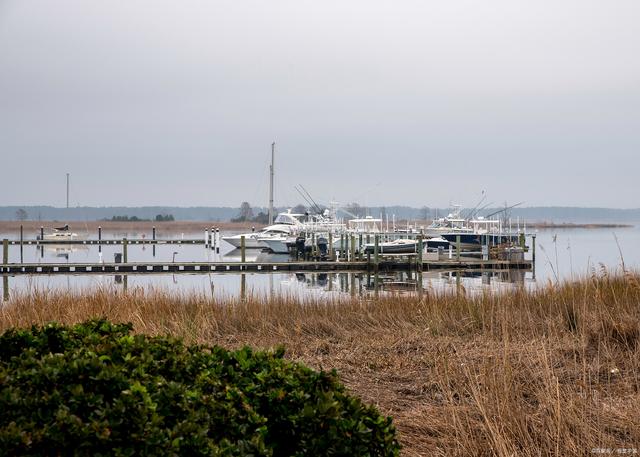 漫步福州长乐闽江河口湿地,五日尽享自然生态,回味儿时辣条美