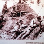 福建省的抗日军队和游击队在抗战中发挥了重要作用