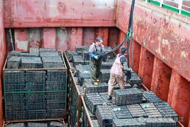 跨越1600公里!连江“网红”回家“过冬”啦!