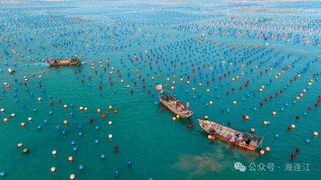 跨越1600公里!连江“网红”回家“过冬”啦!