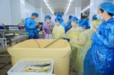 以食会友,共享美好——远方好物与霞浦的美丽邂逅