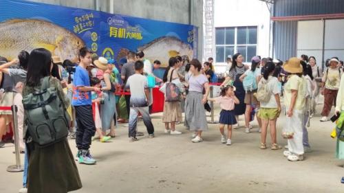 以食会友,共享美好——远方好物与霞浦的美丽邂逅