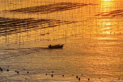 中国最美夕阳观赏地”霞浦”，晚霞下美景，令人沉醉！