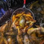 大黄鱼和小黄鱼是同一种鱼吗？答案来了！