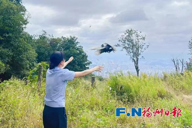 惊艳!“林中仙子”造访!福州鼓二小轰动了
