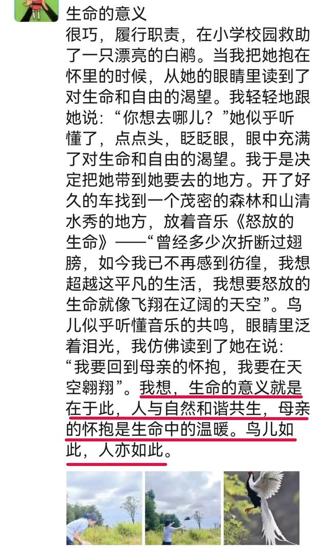 惊艳!“林中仙子”造访!福州鼓二小轰动了