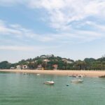 从厦门出发，一日游的无限可能：探索城市边缘的隐世桃源