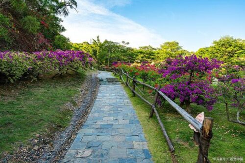 厦门秘境大公开！错过你就out了！我赌五毛，下一个爆火的打卡点