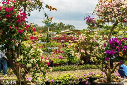 厦门秘境大公开！错过你就out了！我赌五毛，下一个爆火的打卡点