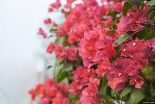 厦门秘境大公开！错过你就out了！我赌五毛，下一个爆火的打卡点