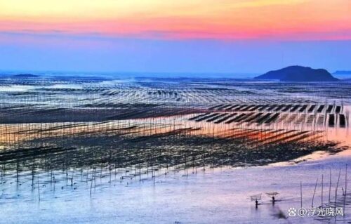 海涂面积zui大县，物价不高，景点免费！
