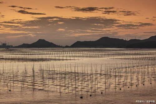 霞浦滩涂深秋探秘：一日游领略海岸风光，品味霞浦海带的营养美