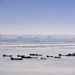 霞浦滩涂深秋探秘：一日游领略海岸风光，品味霞浦海带的营养美