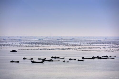 霞浦滩涂深秋探秘：一日游领略海岸风光，品味霞浦海带的营养美
