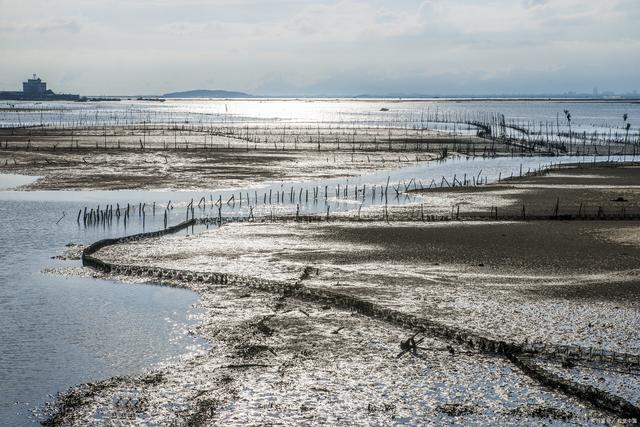 霞浦滩涂深秋探秘:一日游领略海岸风光,品味霞浦海带的营养美
