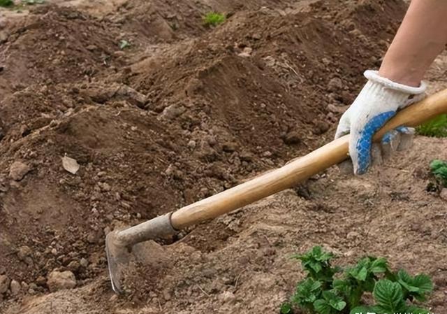 福建一农民工用了10年的“水瓢”,竟是1800多年前的青铜熨斗