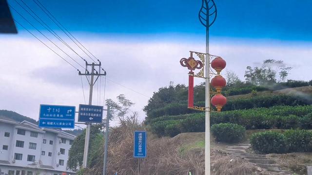 稻花香，茶韵香。福鼎市磻溪闽溪口，一路茶园，茶韵绵长