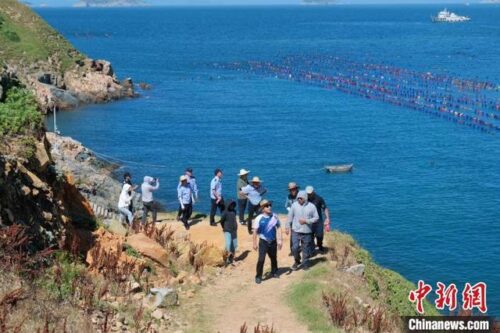 打开福建宁德绿富美“密码”：红树林变“金树林” 海域监管有新招