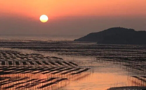 11月去哪？这座宝藏小城，半山半海，美景免费！