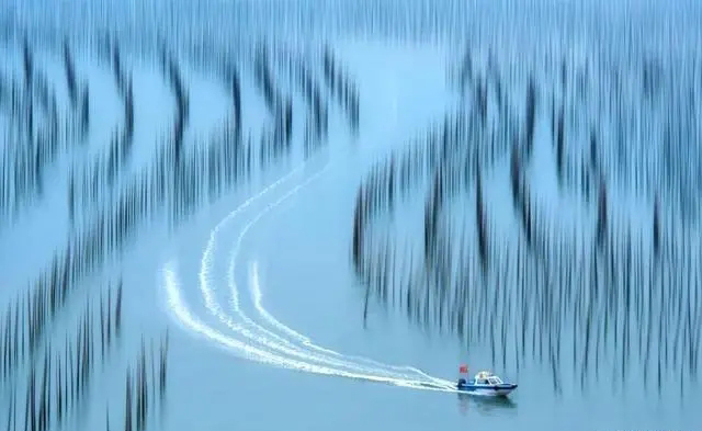 11月去哪?这座宝藏小城,半山半海,美景免费!