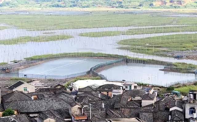 11月去哪?这座宝藏小城,半山半海,美景免费!