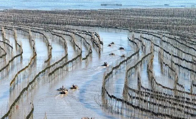 11月去哪?这座宝藏小城,半山半海,美景免费!