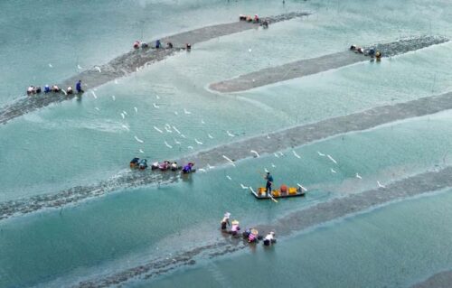 八闽大地，持续上新 诗意层叠 交织无限生活场景